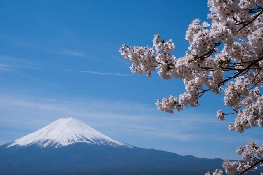 1-Day Mt Fuji and Hakone Sightseeing trip from Tokyo - What makes this day trip work