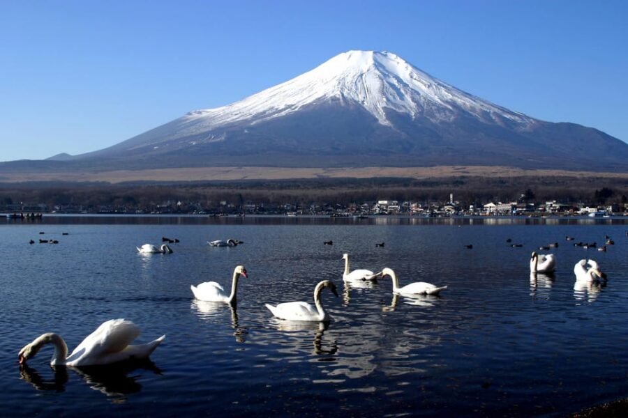 From Tokyo: Fuji Mountain Area - FujiQ - Lake Kawaguchiko - Chureito Pagoda - Why This Fuji Route Feels Like a Best-Of Day