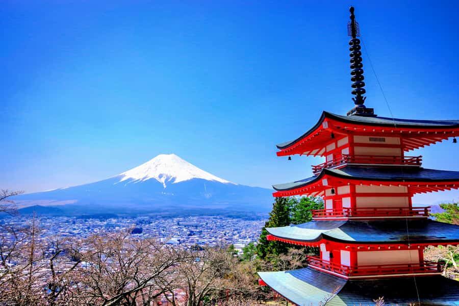 From Tokyo: Mount Fuji and Hakone Private Day Trip - Subaru 5th Station: the high-altitude payoff