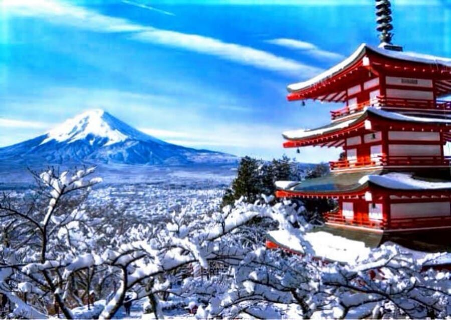 From Tokyo: Mount Fuji Full Customized Tour English Guide - Lake Kawaguchiko: Your Choice of Ropeway, Speed Boat, or Cruise