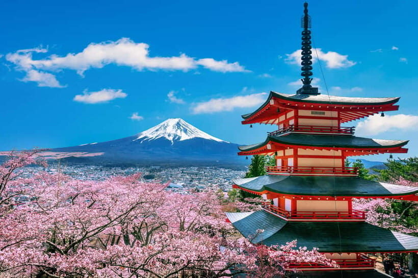 From Tokyo: Mount Fuji Full Day Private Customizable Tour - The 10-Hour Reality: How the Timing Works