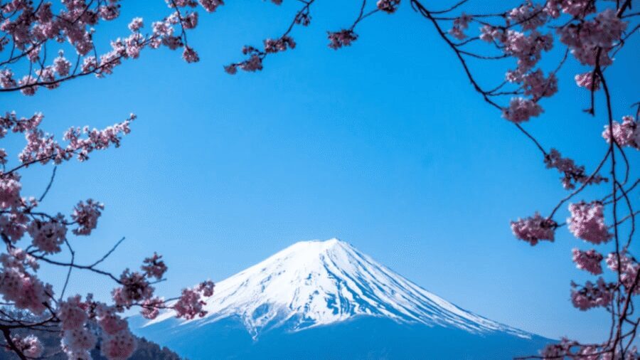 From Tokyo: Mount Fuji Private Day Tour With English Guide - Key highlights worth planning around
