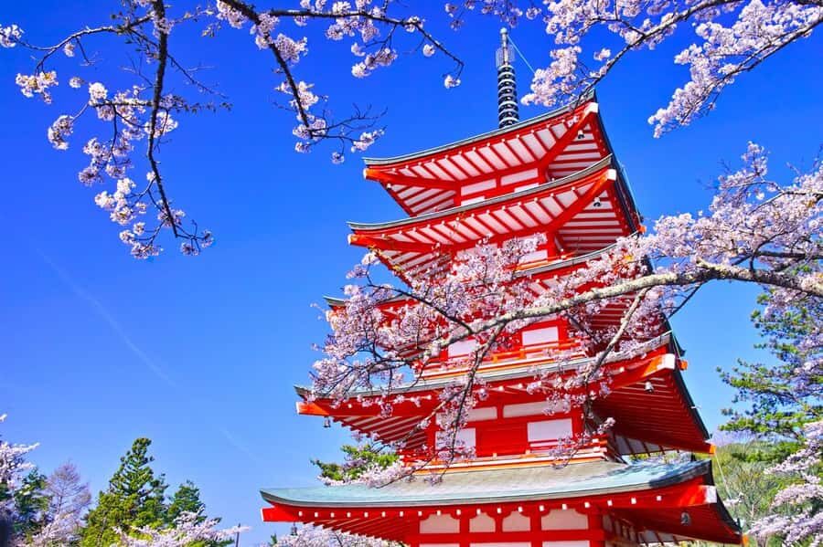 Full-Day Tour to the Picturesque Spots of Mount Fuji - Weather, Crowds, and the Mount Fuji Visibility Factor
