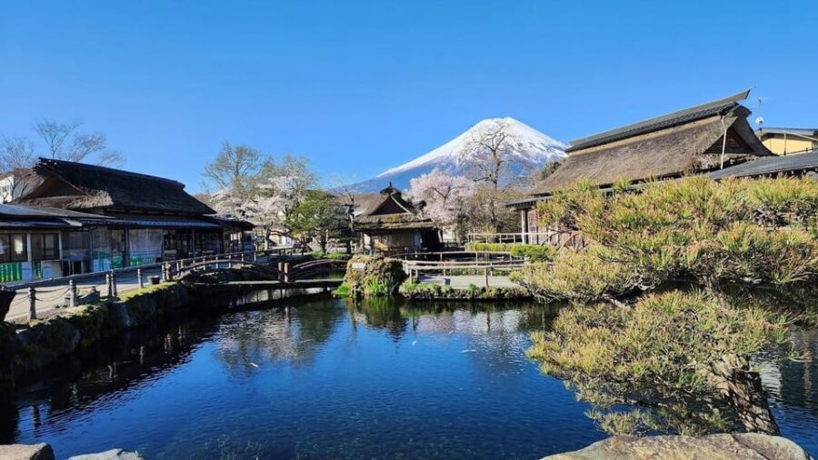 Mount Fuji and Hakone Day tour with English speaking Drivers - Driver quality: why names like Ahmad and Afzal Anjum matter