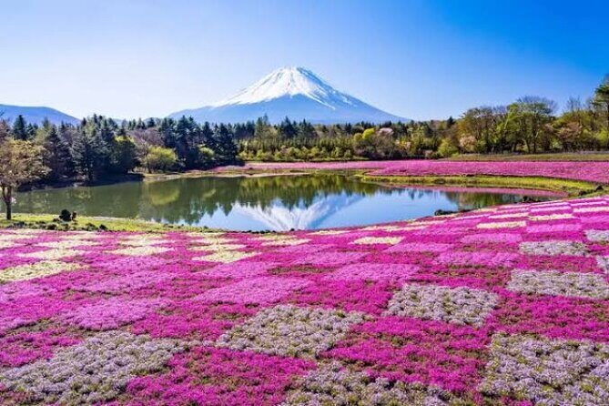 Mount Fuji and Hakone Private Tour by Car with Pickup from Tokyo - Key points before you go