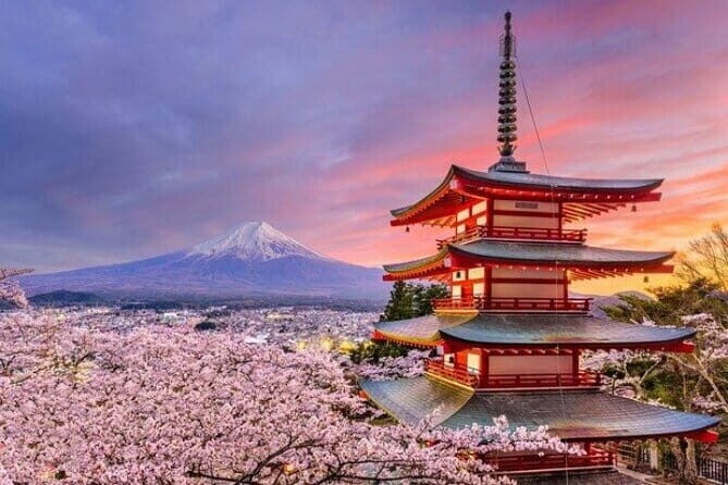 Mount Fuji and Hakone Private Tour with Pickup from Tokyo - Key points before you go
