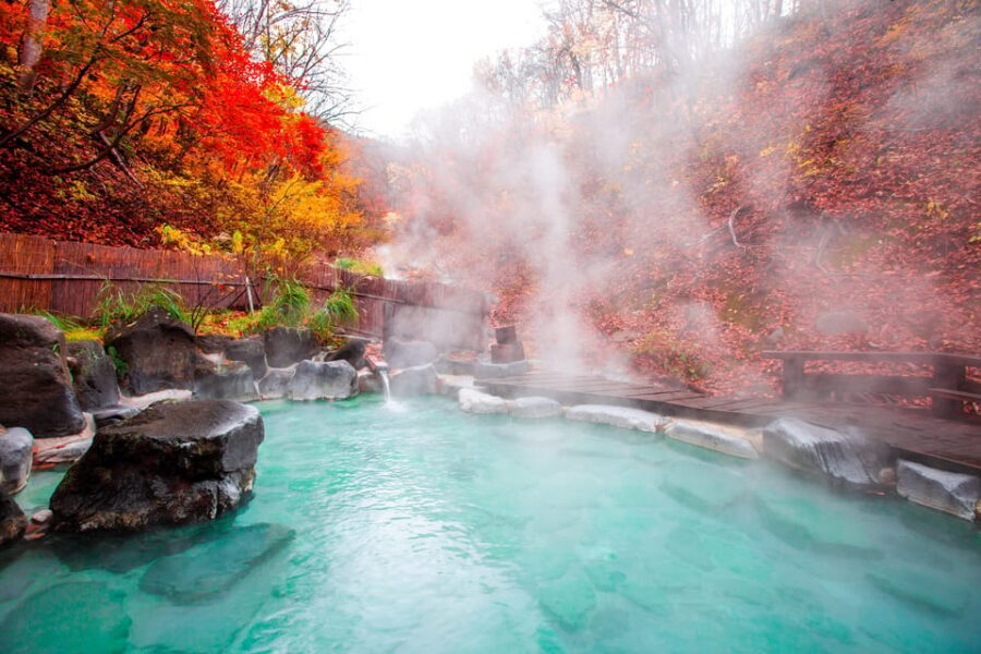 Mount Fuji - Hakone & Onsen Full Day Private Tour - Who this private Mount Fuji–Hakone day is best for