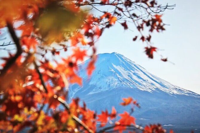 Mount fuji Private Tour - Stop 2: Narusawa Ice Cave for a cool, unusual break