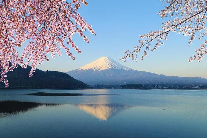 Mt Fuji & Hakone Cruise, Drum Show Bullet Train 1 Day from Tokyo - Key things to know before you go