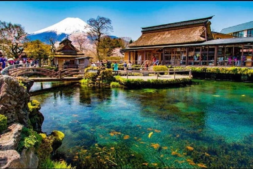 Mt Fuji Top 5 Spots Day Tour: Arakurayama Park,Oshino Hakkai - Oishi Park and the Herb-to-Color Seasonal Plan