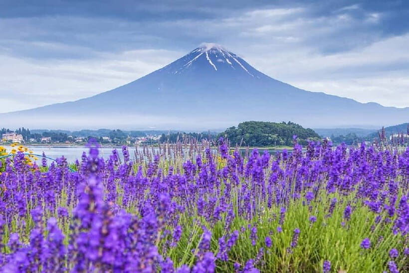 Mt Fuji Top 5 Spots Day Tour: Arakurayama Park,Oshino Hakkai - Arakura Shrine, Chureito Pagoda, and the Steps to a Story