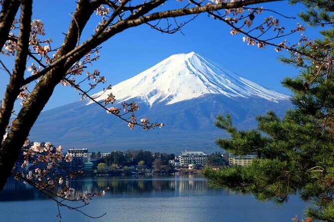 Private Mt Fuji, Hakone and Tokyo Tour - English Speaking Driver - Quick takeaways before you go