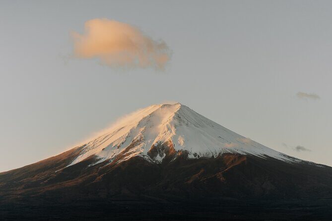 Private Mt Fuji, Hakone and Tokyo Tour - English Speaking Driver - Who this private tour suits best