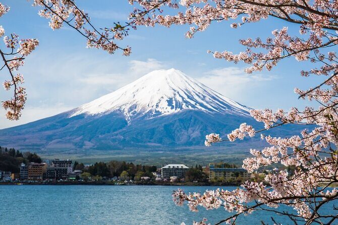 Private tour to Mount Fuji and Hakone from Tokyo - Key things to know before you go