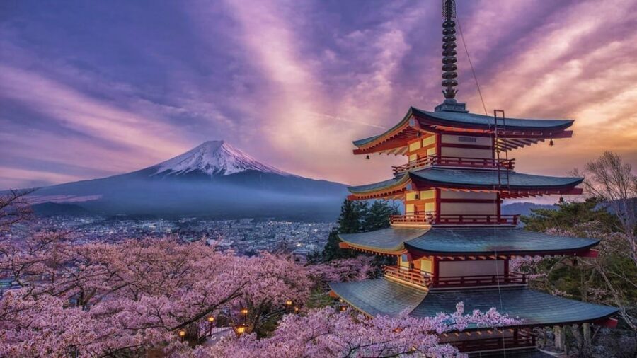 Tokyo: Mount Fuji & Hakone Private Tour with Guide - Pickup, comfort, and what you’ll notice in the van