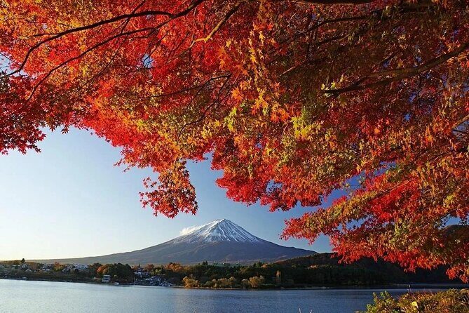 Tokyo: Mount Fuji One Day Trip Lake Kawaguchi & Lake Yamanaka - Key highlights to pay attention to