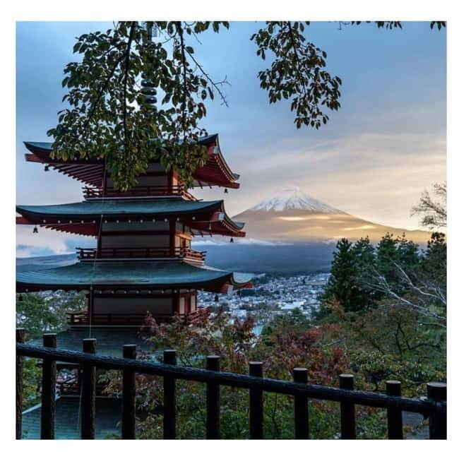 Tokyo: Mt Fuji Private Day Tour By English Driver Low Price - Key things to know before you go